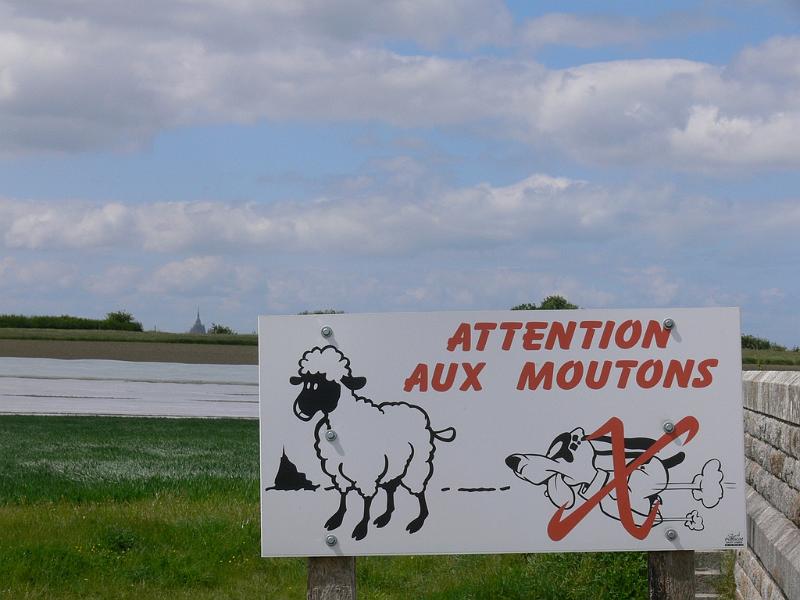 Mont Saint Michel 2010 - 398.jpg